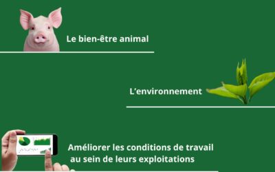 Les projets des Éleveurs Le Cochon de Bretagne